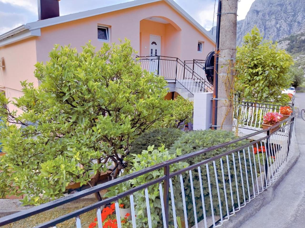 Apartment Dora Kotor Dış mekan fotoğraf